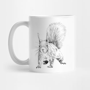 Eichhörnchen Mug